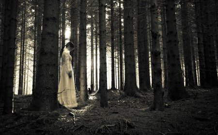 Cursed Movies: Inside The Wizard of Oz and The Exorcist — Myths, Tragedies & Hollywood’s Dark Legends