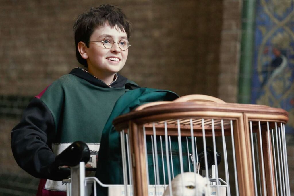 Harry Potter and the Philosopher's Stone Official Teaser Explained: HBO's New Wizarding Era Finally Begins