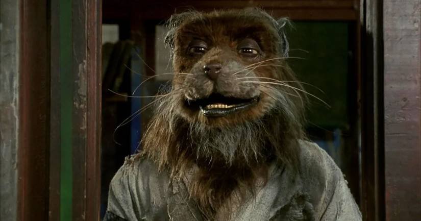 Master Splinter — The Turtles' Father and Sensei