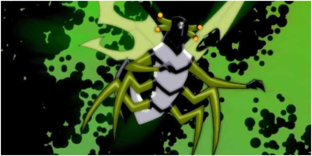 Stinkfly
