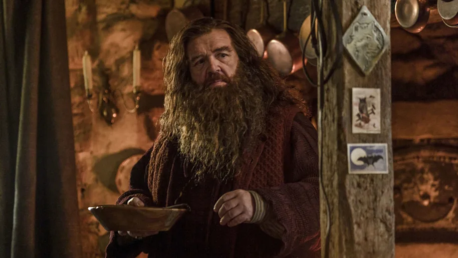 Nick Frost Is Hagrid
