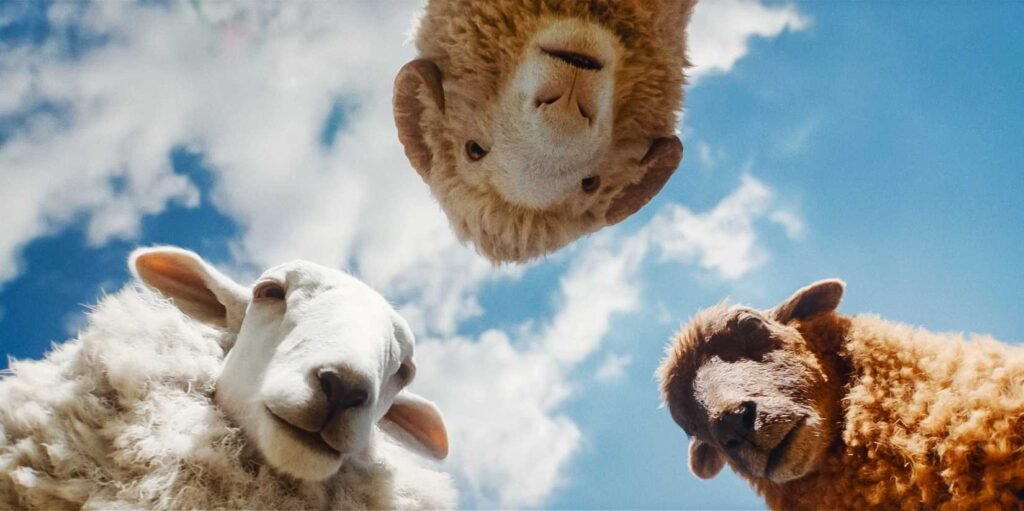 The Sheep Detectives Turned a Strange Premise Into a Crowd-Pleasing Mystery